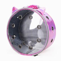 Pet Travel Bag for Cat Cage Carrier Breathable Transparent Window Box Capsule Dog Travel Backpack www.petgoodsfactory.com