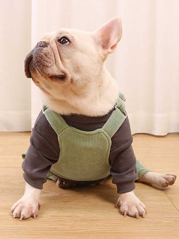 GMTPET French fighting clothes high elastic comfortable solid color plus velvet thick bottoming shirt T-shirt bulldog dog clothes 107-222016 www.petgoodsfactory.com
