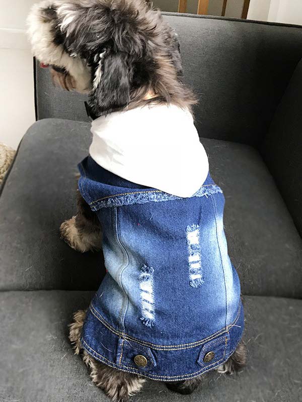 Denim fabric pet dog clothes 06-0208