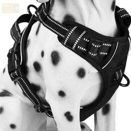 Pet Factory wholesale Amazon Ebay Wish hot large mesh dog harness 109-0001 www.petgoodsfactory.com