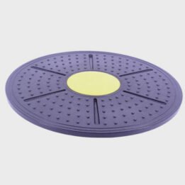 Wholesale Anti-skid Yoga Board Fitness Twist Waist Adult Children Decompression Training Fitness Device Balance Board www.petgoodsfactory.com