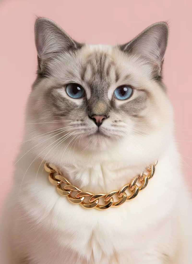 Factory Wholesale Dog Necklace Collars Gold Chain