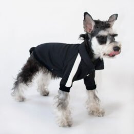 Sport Pet Clothes Custom Fashion Dog BomberJacket Blank Dog Clothes www.petgoodsfactory.com