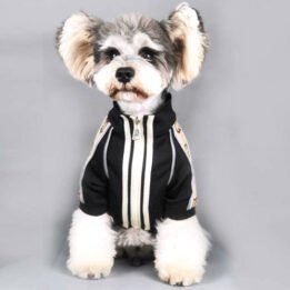 2020 Dog Coat Spring Autumn Pet Clothing Small Designer Dog Clothes www.petgoodsfactory.com
