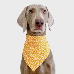 2020 New Custom Summer Triangle Bandana Personalized Pet Accessories Cat Dog Triangle Scarf www.petgoodsfactory.com