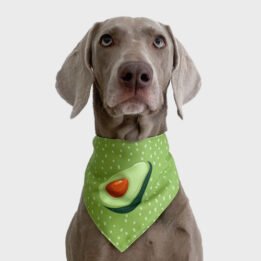 Wholesale Adjustable Custom Bandana Practical Pet Embroidered Saliva Towel Multifunction Bandana