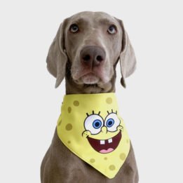 New Product Yellow Cartoon Cute Duck triangle scarf Pet Saliva Towel www.petgoodsfactory.com