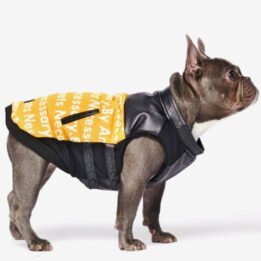 Pet Dog Clothes Vest Padded Dog Jacket Cotton Clothing for Winter www.petgoodsfactory.com