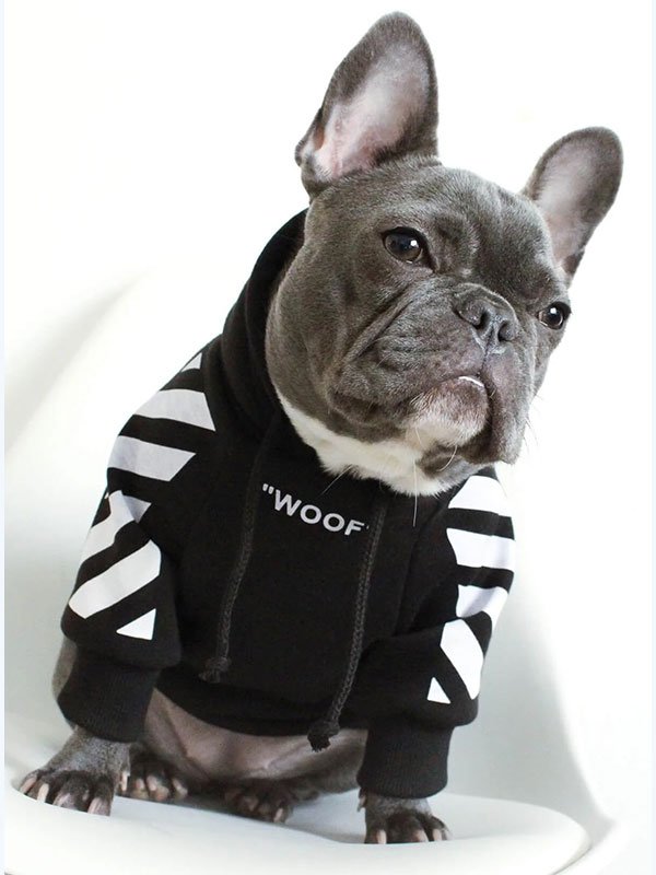 Роскошная одежда для домашних животных, теплая толстовка с капюшоном, модная зимняя дизайнерская одежда для собак на заказ, 06-1396 www.petgoodsfactory.com