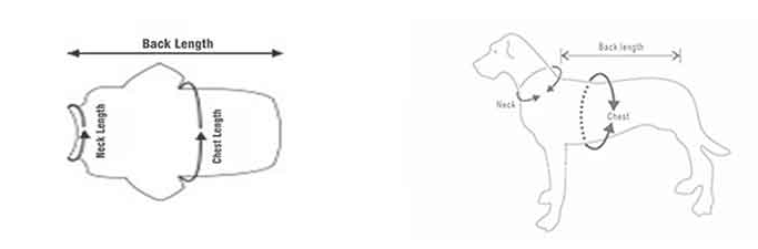 GMTPT Measurement Methods