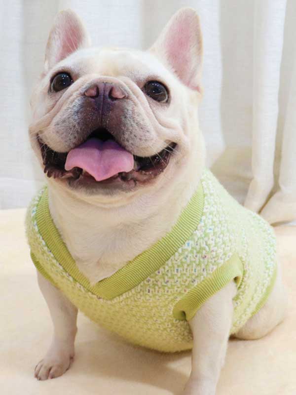GMTPET Thickened autumn and winter fat dog short body bulldog pug dog lady plush rich rich French fighting clothes v-neck vest vest 107-222012 www.petgoodsfactory.com
