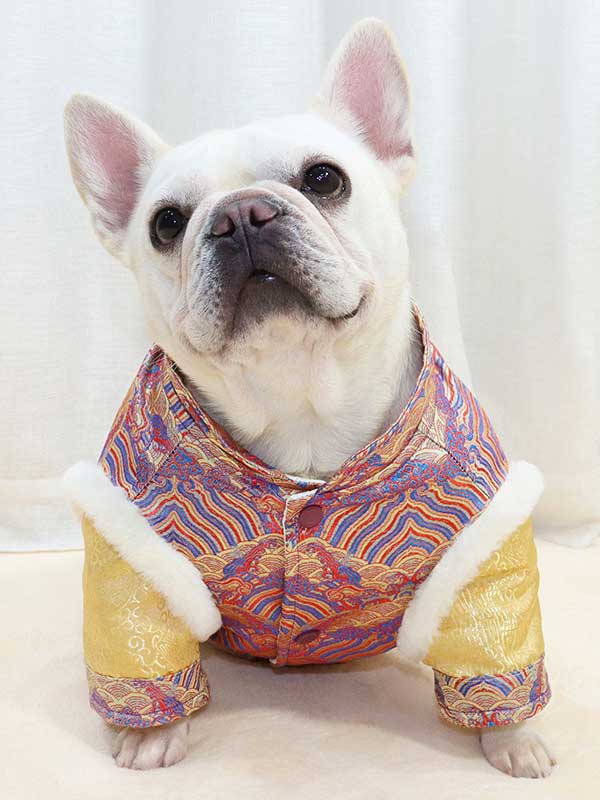 GMTPET French fighting Chinese New Year’s clothing New Year’s clothing Tang suit Chinese style fat dog bulldog dog clothes thickened rabbit fur jacket cotton coat 107-222013 www.petgoodsfactory.com