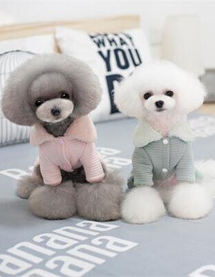 GMTPET Pet Clothes Factory Wholesale Fashionable Dog Apparels Pet Cotton Dog Warm 06-0247 Dog Clothes: Shirts, Sweaters & Jackets Apparel cat and dog clothes