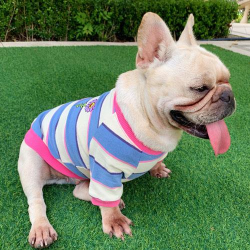 Pet Factory Wholesale Striped New Korean Parent-child Wear Pet Valentine Day Clothes 06-0495 Dog Clothes: Shirts, Sweaters & Jackets Apparel Pet Striped New Korean Parent-child Wear Pet Valentine Day Clothes