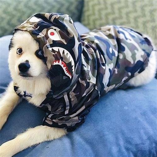 Pet jacket Clothes Dog Raincoat Camouflage Cloth Waterproof 06-1337 Dog Clothes: Shirts, Sweaters & Jackets Apparel adidog dog clothes