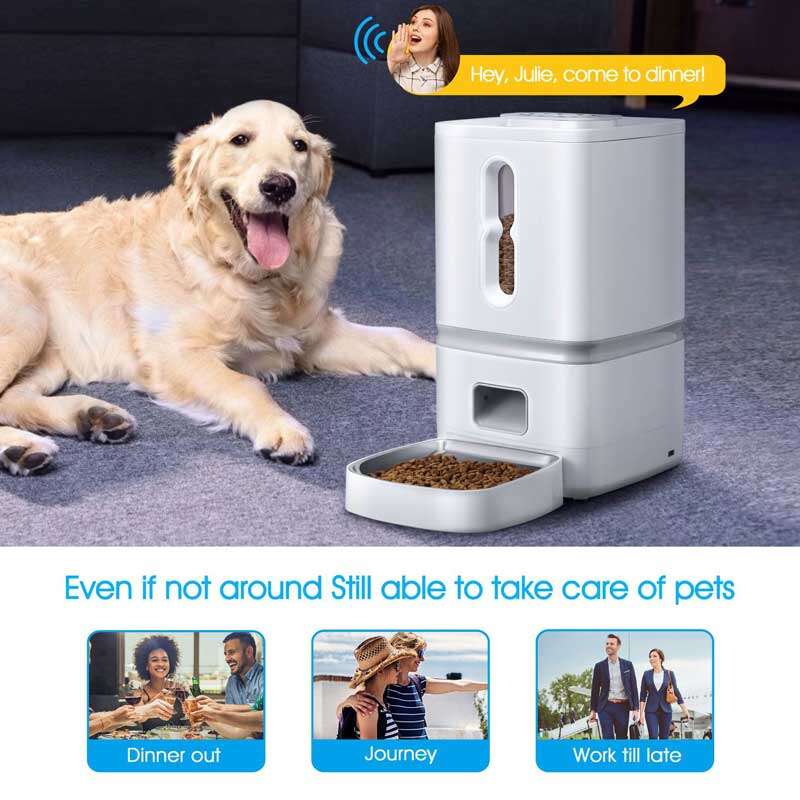 Wholeasle Amazon food feeder double meal feeder pet smart feeder