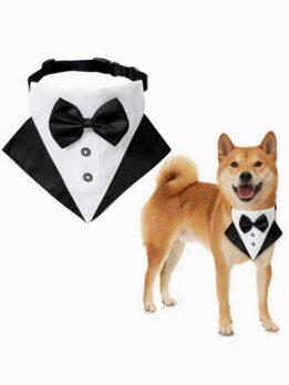 Wedding suit pet drool towel dog collar pet triangle towel pet bow tie wedding suit triangle towel 118-37007 www.petgoodsfactory.com