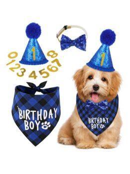 Pet party decoration set dog birthday scarf hat bow tie dog birthday decoration supplies 118-37011 www.petgoodsfactory.com