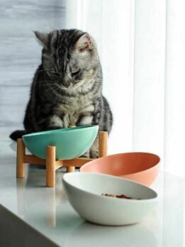 Tigelas de comida para gatos com boca inclinada de cerâmica alta e estrutura de madeira por atacado 123-12006 www.petgoodsfactory.com