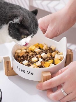 Tigela de madeira para gato por atacado de fábrica Suporte de madeira para comida de gato 123-12019 www.petgoodsfactory.com