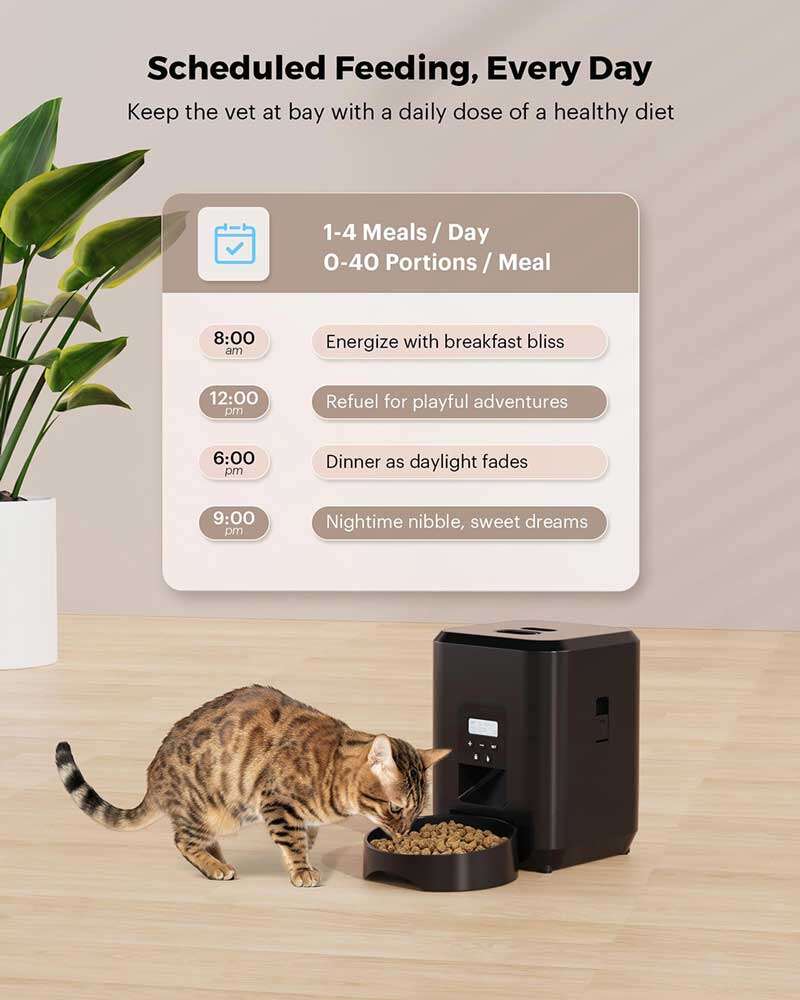 Wholeasle Amazon food feeder double meal feeder pet smart feeder